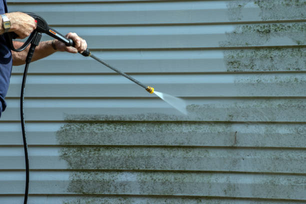 Local Pressure Washing Services in Batavia, IL